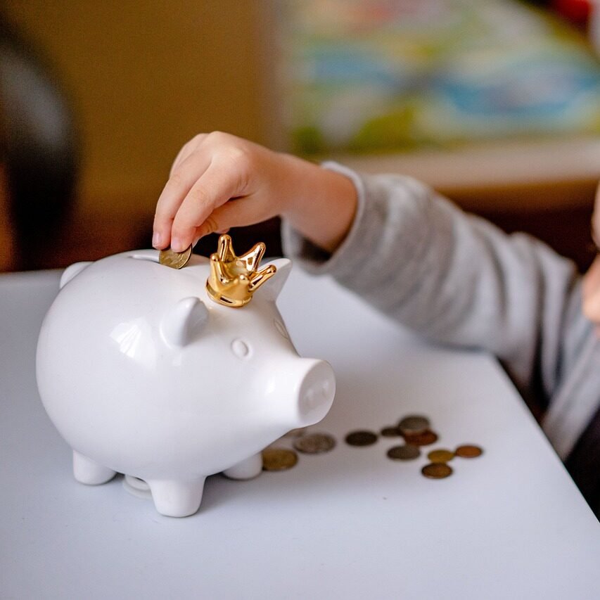 money, bank, finance, save, piggy, coin, pig, currency, investment, cash, savings, home, childhood, child, rich, toy, financial, kid, concept, happy, banking, little, budget, hand, boy, rich, rich, budget, budget, budget, budget, budget