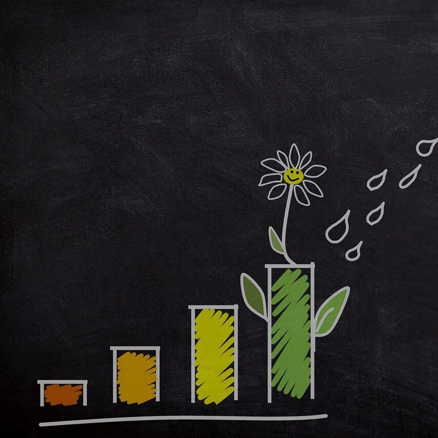 investment, nature, growth, watering, can, money, finance, business, wealth, profit, savings, increase, plant